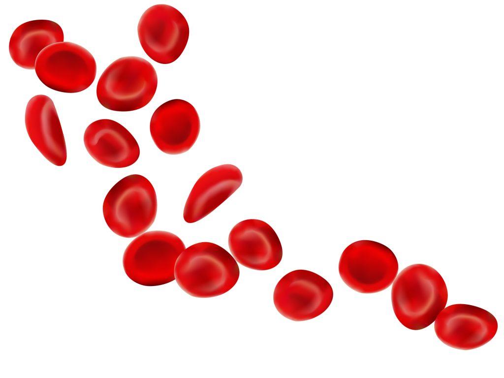 MDS 2025 blood platelets
